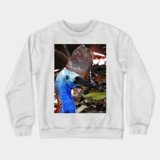 Southern Cassowary Crewneck Sweatshirt